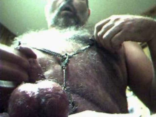 Featured bear