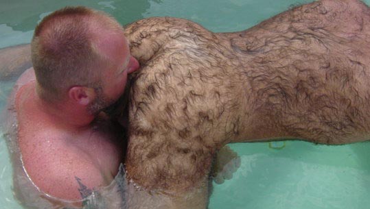 Featured bear