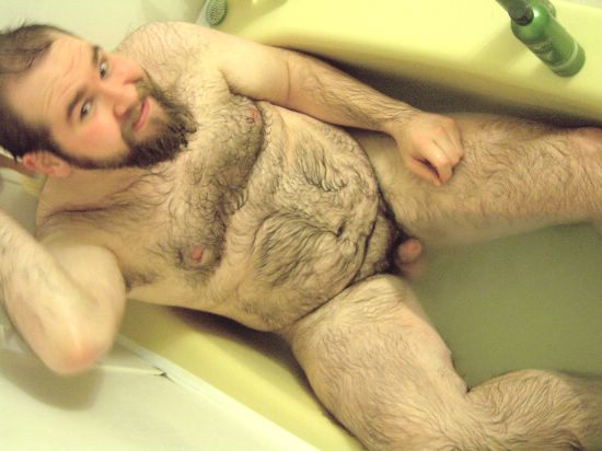 Featured bear