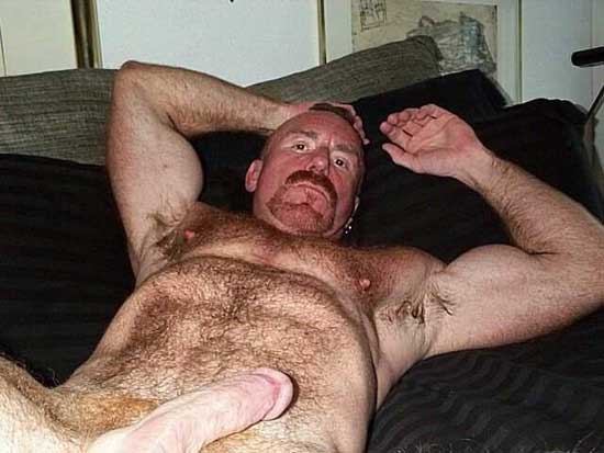 Featured bear