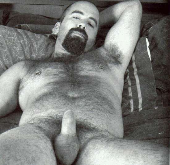 Featured bear