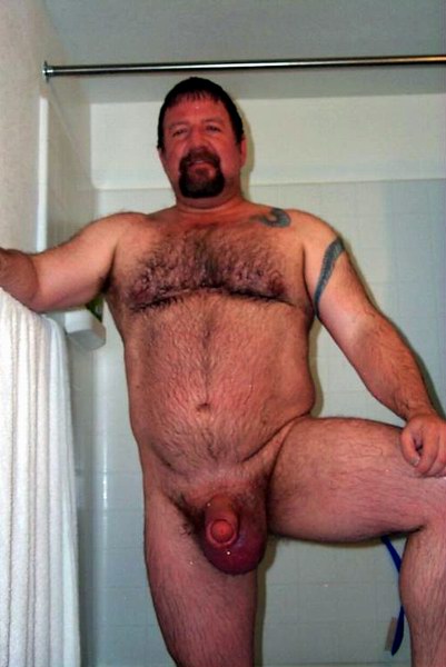 Featured bear