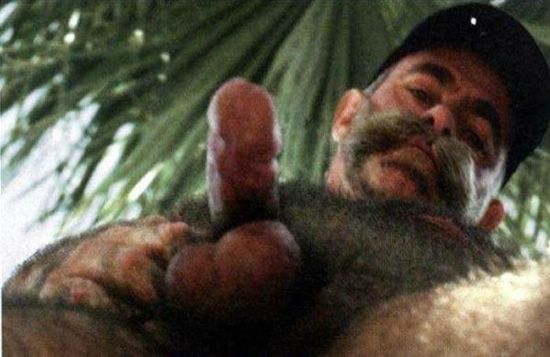Featured bear