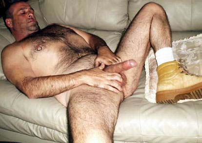 Featured bear