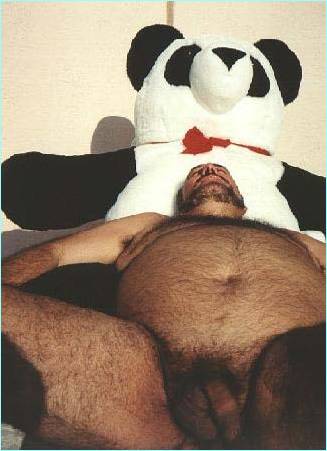 Featured bear