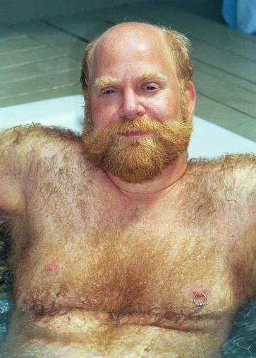 Featured bear
