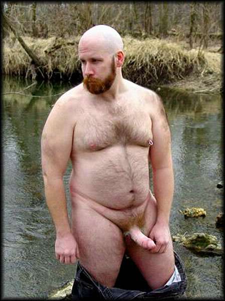 Featured bear