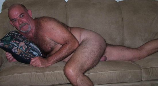 Featured bear