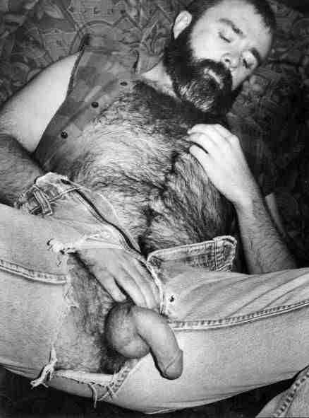 Featured bear