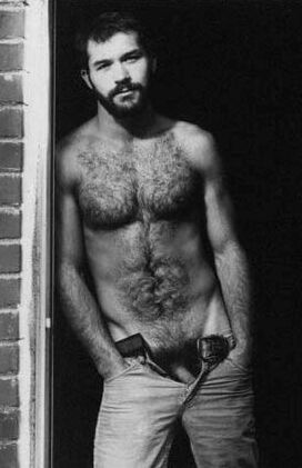 Featured bear