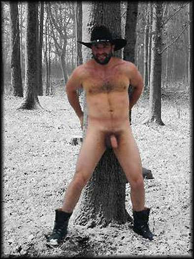 Featured bear