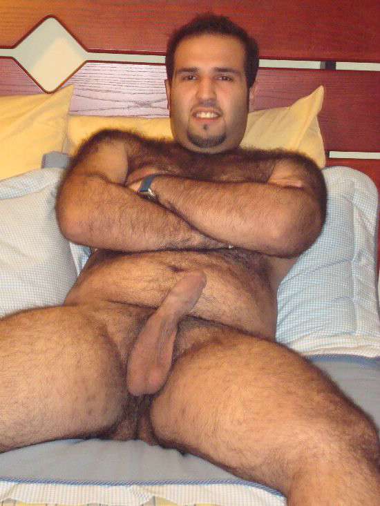 Featured bear