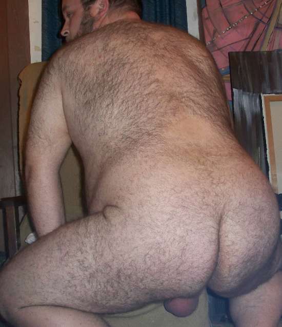 Featured bear