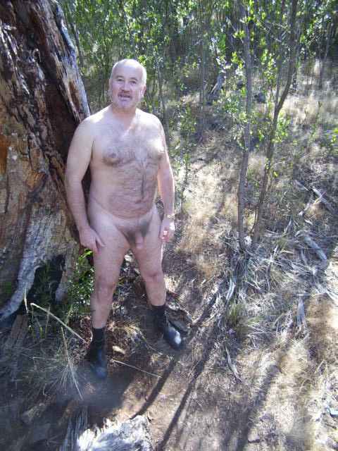 Featured bear
