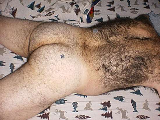 Featured bear