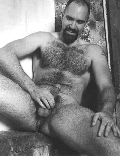 Featured bear
