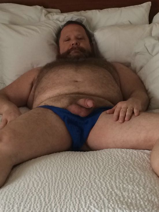 Featured bear