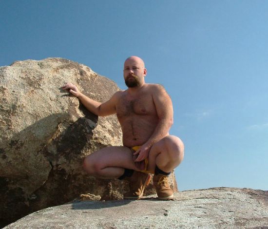 Featured bear