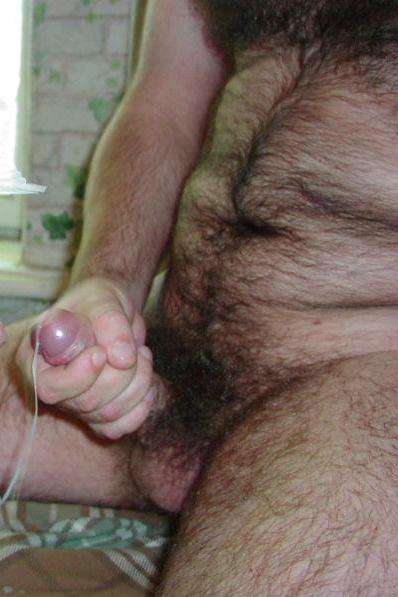 Featured bear