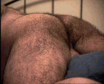 Featured bear