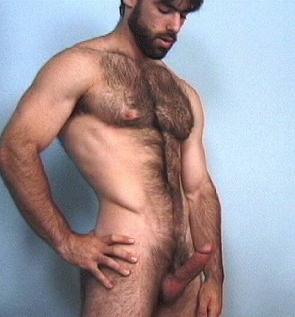 Featured bear