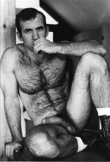 Featured bear