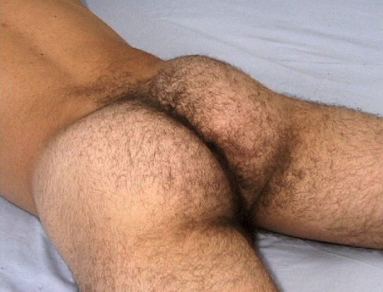 Featured bear