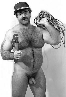 Featured bear