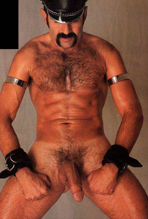 Featured bear