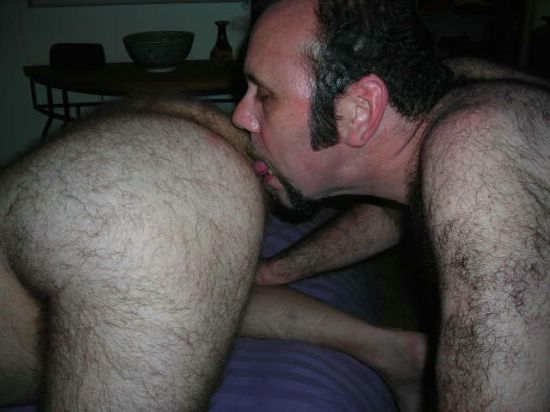Featured bear