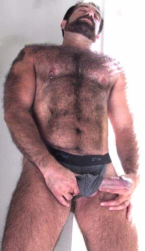 Featured bear