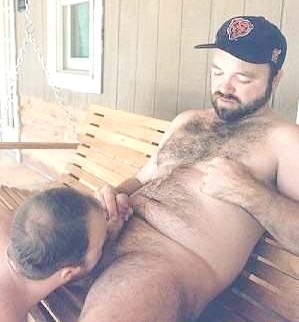 Featured bear