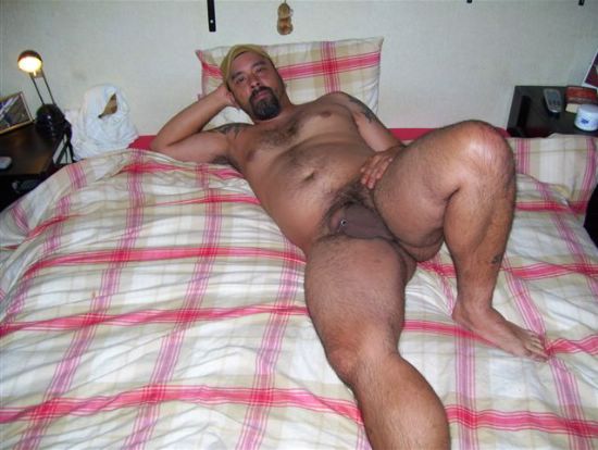 Featured bear