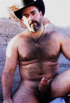 Featured bear