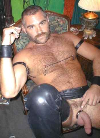 Featured bear