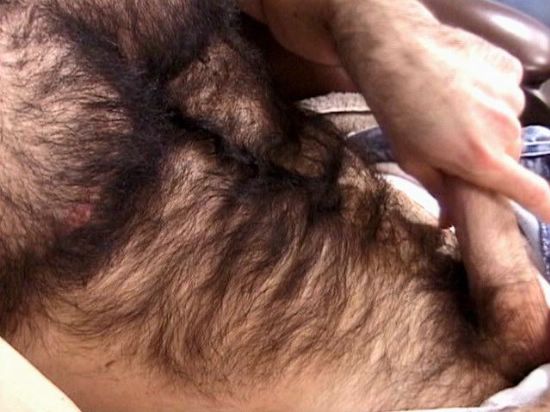 Featured bear