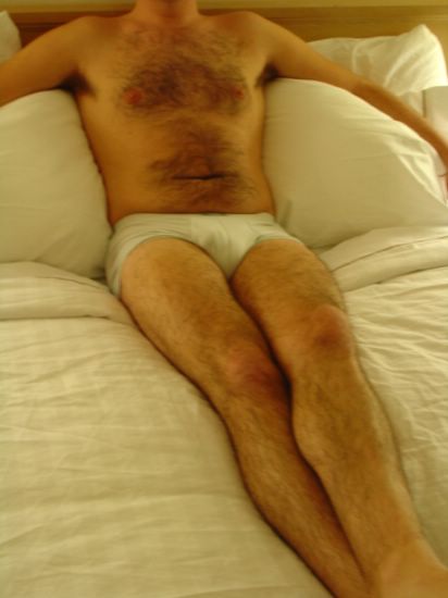 Featured bear