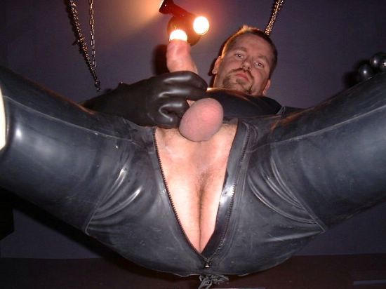 Featured bear