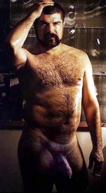 Featured bear