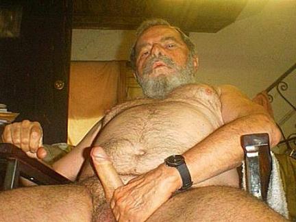 Featured bear