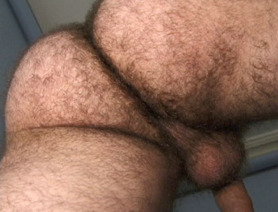 Featured bear