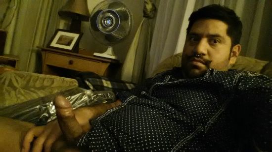 Featured bear