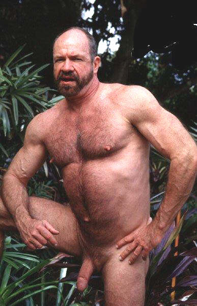 Featured bear