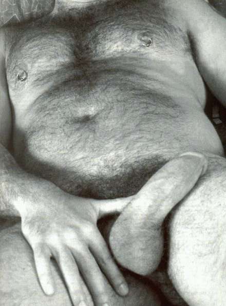 Featured bear