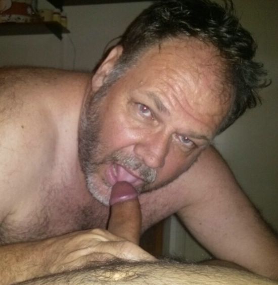 Featured bear
