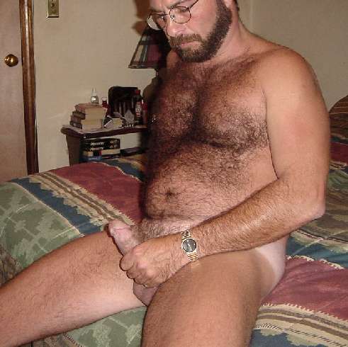 Featured bear