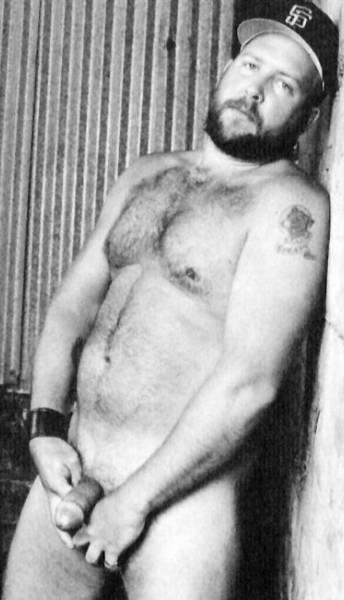 Featured bear