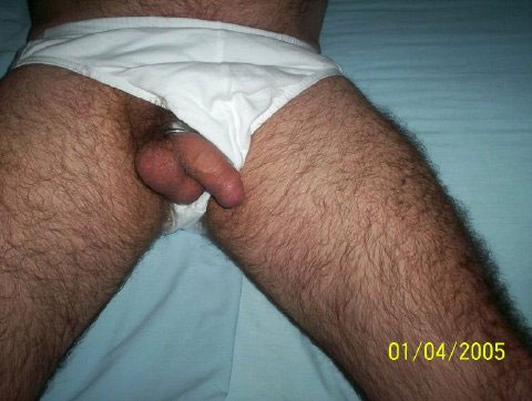 Featured bear