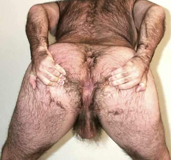 Featured bear