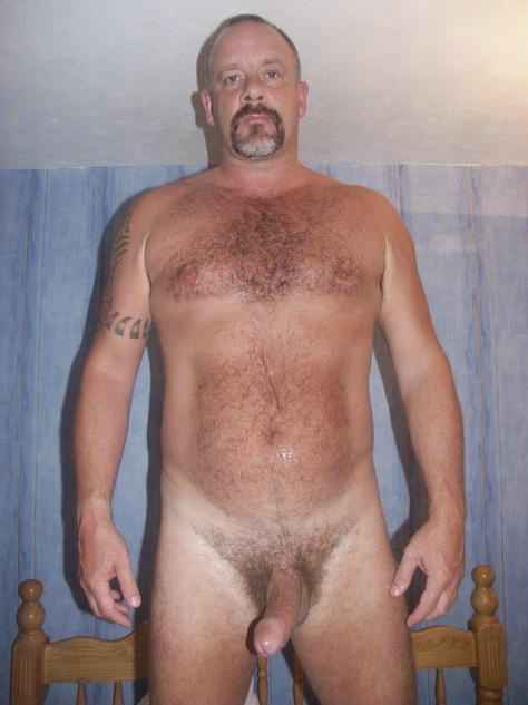 Featured bear